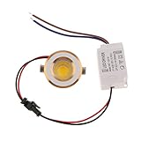 Perfk ミニ型　LED　スポット　ライト　ショーケースライト　ディスプレイランプ　プノンペン付き　照明　全2色ライト - ホワイトライト