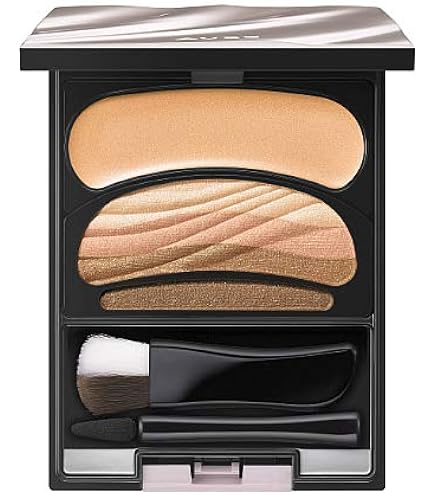 【新品未開封】AUBE アイシャドウパレット SC02 Amazon.co.jp: 【Amazon.co.jp限定】AUBE(オーブ) ブラシひと塗り