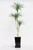 インテリアグリーン人工観葉植物、新ユッカ120・光触媒製品黒四角鉢受け皿付き