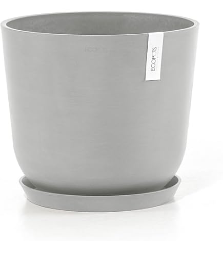 Amazon | グリーンポット ビアス アルトエッグ アイボリー31