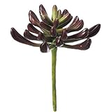 asca 造花 サッカレンテン グリーンレッド 全長約16cm