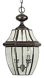 Quoizel NY1178AC Newbury 2-Light Outdoor Hanging Lantern, Aged Copper by Quoizel