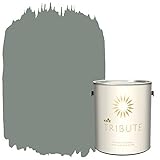 Kilz Tribute内部Eggshellペイント、1、1ガロン、クールでプライマーフォグ( tb-61 ) 1 Gallon, Eggshell TRI INT GL EGGM TB-68 LIN