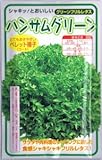 レタス・ハンサムグリーン　約100粒
