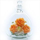 アートフォーシーズン ベアーアイ (４．オレンジ　グリーン発光)　”光るバラ”　ホタル プリザーブドフラワー