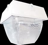 Rab照明van5s100 / QRW van Vandalproof屋外Close to