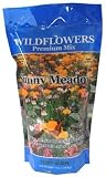 Sunny Meadow Wildflower Mix [並行輸入品]