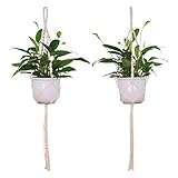 プラントハンガー　植物ボルダー　プラントハンギング　麻縄　麻ロープ (C)