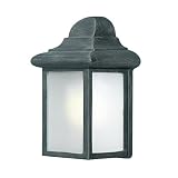 Woodbridge Lighting 60013WL-BKP Energy Saving 1-Light Outdoor Wall Sconce, Powder Coat Black [並行輸入品]