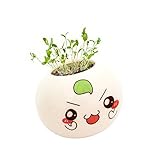 RaiFu 鉢植え 人工観葉植物　手で植える　かわいい インテリア グリーン　癒しの空間を創り出す チェイスグラス