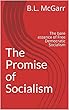 The Promise of Socialism: The bare essence of Free Democratic Socialism (English Edition)