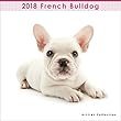  (ミニ)フレンチ・ブルドッグ 2018年 カレンダー 壁掛け CL-1165