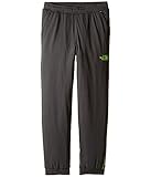 (ザノースフェイス) THE NORTH FACE キッズパンツ Mak Pants (Little Kids/Big Kids) Graphite Grey/Power Green (Prior S