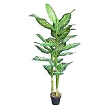 光触媒・人工観葉植物 ディフェンバキア 165cm 黒(鉢の色)