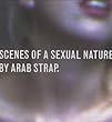 Scenes of a Sexual Nature [12 inch Analog]