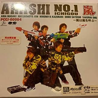 アレルギー / 嵐