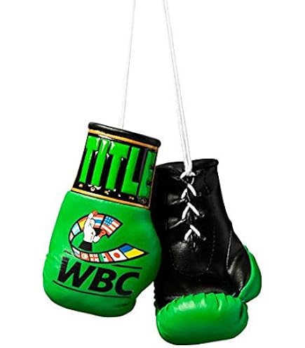 ボクシング ミニグローブ リングサイド 楽天市場】ボクシンググローブ ミニサイズ グローブ レプリカ