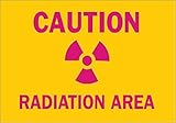 Brady 88741 Radiation and Laser Sign, 7" Height x 10" Width, Pink on Yellow [並行輸入品]