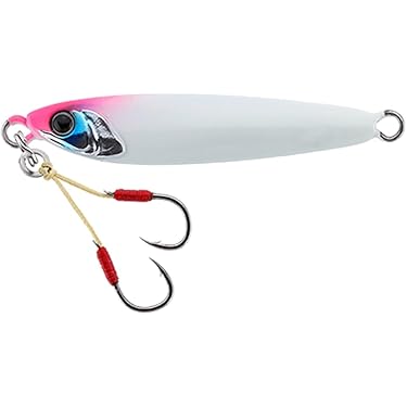 Amazon.co.jp 最新リリース: 釣り用ジグ の新着ランキングです。