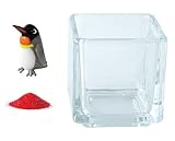 花市場直送便 ミニチュアガラス キングペンギン & カラーサンド レッド & 植え込み用グラス ニューブロックS