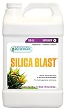 シリカ ブラスト Silica Blast 3.8L