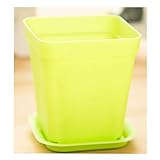 2 個入りミニ プラスチック植木鉢トレイ(グリーン)