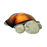 Cloud B Twilight Constellation Night Light Turtle Lady Bug クラウドBトワイライトタートルレディバグ [海外並行輸入品] (Turtle)