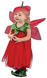 Toddler Strawberry Fairy Costume - 12-24 Months by Fun World [並行輸入品]