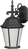 Forte Lighting 17015-01-04 Exterior Wall Light with Frosted Seeded Glass Shades, Black [並行輸入品]
