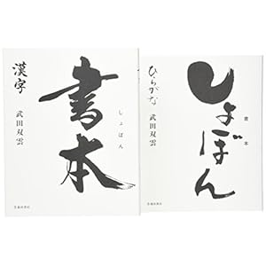 武田双雲書本セット(全2巻)