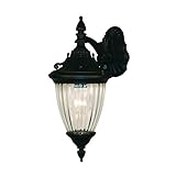 Z-Lite 505M-BG Waterloo Outdoor Wall Light, Aluminum Frame, Black Gold Finish and Ribbed Semi Clear 