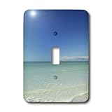 3dRose LLC lsp_44772_1 Green Gulf Waters n Blue Sky, Single Toggle Switch