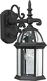 Forte Lighting 1747-01-04 Exterior Wall Light with Clear Beveled Glass Shades, Black [並行輸入品]