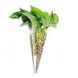 ガラス 花瓶壁掛の室内の植物のセットガラスのプランターの家の装飾の生活のインテリア クリスタル 壁 ガーデニング (9 * 20cm 三角形)