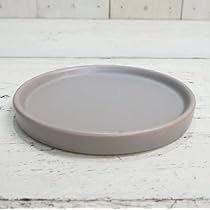 ✳︎SEdragonグレーベージュ28cm 10枚と黒盆皿7枚セット ✳︎SEdragonグレーベージュ28cm 10枚と黒盆皿7枚セット