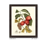 20 in. American Giclee Painting with Anti-Glare Glass and Frame by Legion Furniture