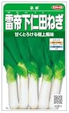 【種子】雷帝下仁田ねぎ 6.5ml