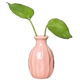 Gespout 花瓶 陶器 白 和風 花器 一輪挿し おしゃれ 花入 水耕栽培用 装飾用品 ドライ花瓶 フローラ 円柱 可愛い 雑貨 人気 観葉植物 卓上置物 小さな口の花瓶