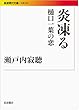 炎凍る――樋口一葉の恋 (岩波現代文庫)