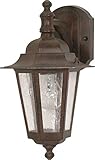 Nuvo 60/989 Arm Down Wall Lantern with Clear Seeded Glass, Old Bronze [並行輸入品]