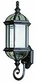 Trans Globe Lighting 4180 SWI 22-1/4-Inch 1-Light Outdoor Wall Lantern, Swedish Iron [並行輸入品]
