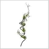 スパイス DECOR IMITAION GARLAND MOSS XHDY5090