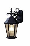 Woodbridge Lighting 61012-RTP Basic 1-Light Outdoor Wall Sconce, Powder Coat Rust [並行輸入品]
