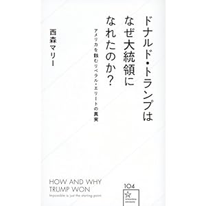 ドナルド・トランプはなぜ大統領になれたのか? アメリカを蝕むリベラル・エリートの真実 (星海社新書) ドナルド・トランプはなぜ大統領になれたのか? アメリカを蝕むリベラル・エリートの真実 (星海社新書)