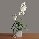 シミュレーション花 造花　シミュレーション盆栽　　装飾用盆栽 [並行輸入品]