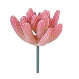 Bulary 造花　ミニ多肉植物　人工観葉植物　インテリア プレゼント 室内　タイプ7　ピンク