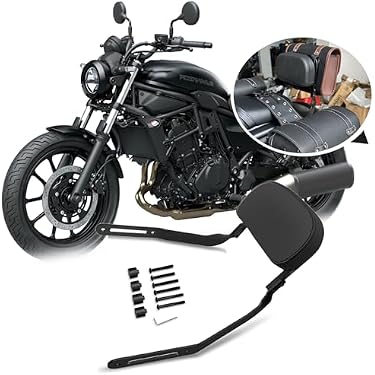 Amazon.co.jp 最新リリース: バイク用バックレスト の新着ランキングです。