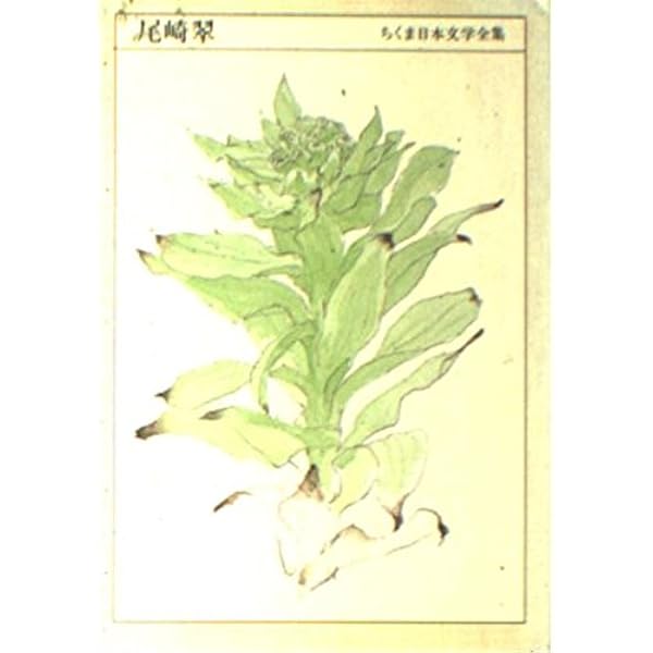 Amazon.co.jp: 尾崎翠集成 (上) (ちくま文庫 お 37-1) : 尾崎 翠, 中野
