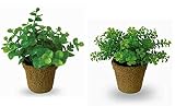 人工観葉植物　光触媒グリーン　ミニグリーン　ユーカリ/ファンシェイプセット
