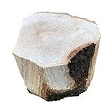 薪割り台【鈴友林業】 (薪割り台：プチ【バトニングでの薪割り用：鈴友林業】)